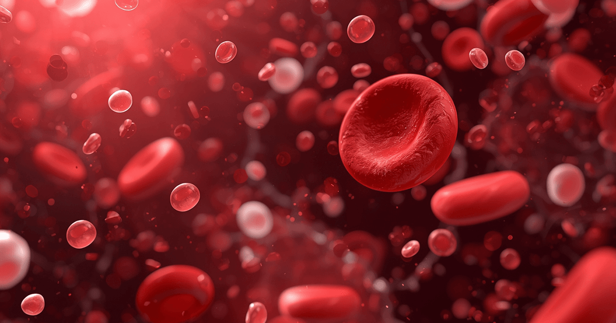 Detailansicht von roten Blutkörperchen und Blutzellen in einer flüssigen Umgebung - ein Smybol für Blutwerte bei einem Bluttest.